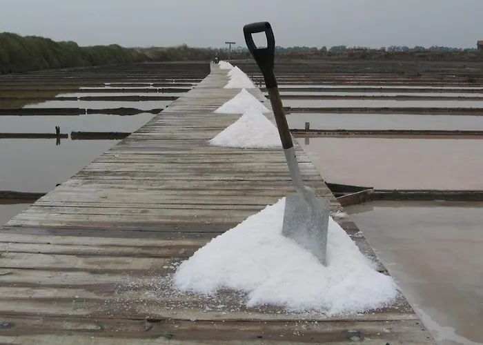 Quinta Rosas - And Mountain Apartment